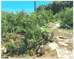  2025Ÿ��42353 ��� ���ý� ������ �α��� 279      ����(��)���