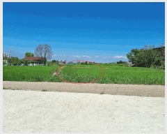  2025Ÿ��42353 ��� ���ý� ������ �α��� 279      ����(��)���