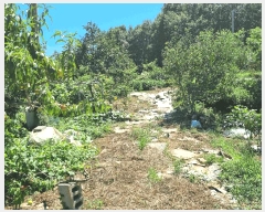  2025Ÿ��42353 ��� ���ý� ������ �α��� 279      ����(��)���