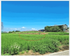  2025Ÿ��42353 ��� ���ý� ������ �α��� 279      ����(��)���