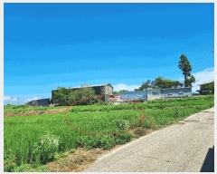  2025Ÿ��42353 ��� ���ý� ������ �α��� 279      ����(��)���