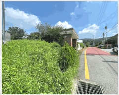  2025Ÿ��42439  ���������