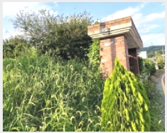  2025Ÿ��42439  ���������