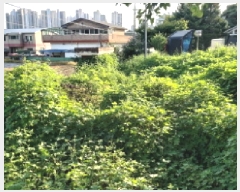  2025Ÿ��42439  ���������