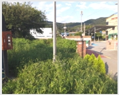  2025Ÿ��42439  ���������