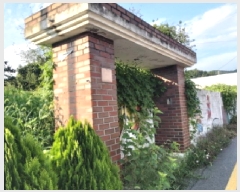  2025Ÿ��42439  ���������