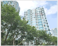  2025Ÿ��42461  ����Ʈ���