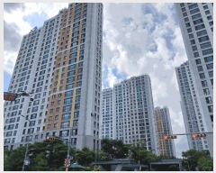  2025Ÿ��42473  ����Ʈ���