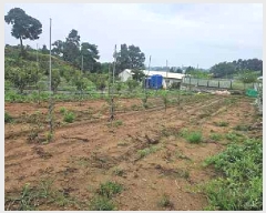  2025Ÿ��42503 ��� ���ý� �ؼ��� ������ 224-7      ����(��)���