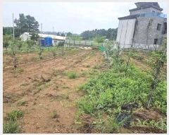  2025Ÿ��42503 ��� ���ý� �ؼ��� ������ 224-7      ����(��)���