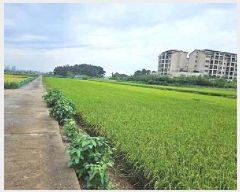  2025Ÿ��42503  ����