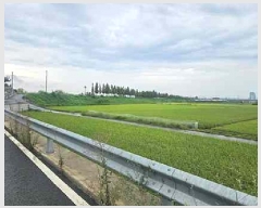  2025Ÿ��42503  ����