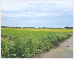  2025Ÿ��42503 ��� ���ý� �ؼ��� ������ 224-7      ����(��)���