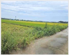  2025Ÿ��42503 ��� ���ý� �ؼ��� ������ 224-7      ����(��)���