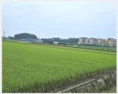  2025Ÿ��42503 ��� ���ý� �ؼ��� ������ 224-7      ����(��)���