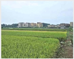  2025Ÿ��42503 ��� ���ý� �ؼ��� ������ 224-7      ����(��)���