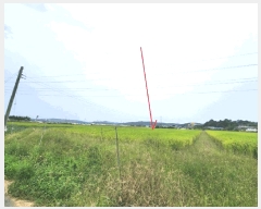  2025Ÿ��42528 ��� �ȼ��� ����� ������ 507      ����(��)���