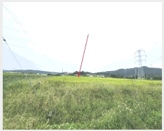  2025Ÿ��42528 ��� �ȼ��� ����� ������ 507      ����(��)���