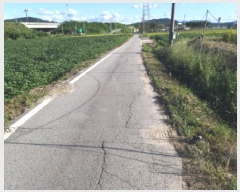  2025Ÿ��42528 ��� �ȼ��� ����� ������ 507      ����(��)���