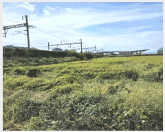  2025Ÿ��42543  ����