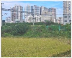  2025Ÿ��42543  ����