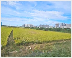  2025Ÿ��42543  ����