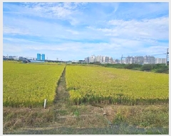  2025Ÿ��42543  ����