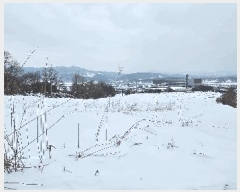  2025Ÿ��172  �����