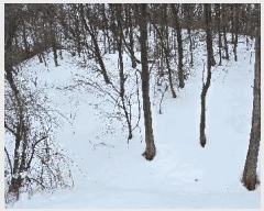  2025Ÿ��172  �����