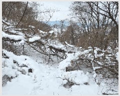  2025Ÿ��172  �����