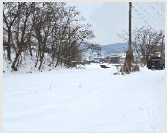  2025Ÿ��172  �����