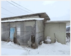  2025Ÿ��172  �����