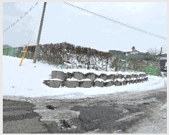  2025Ÿ��172  �����