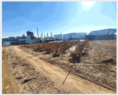  2025Ÿ288  ý 絿 67-3       ,â