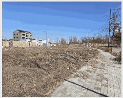  2025Ÿ��486 ��� ���ý� ������ 2437-2       ����(����)���