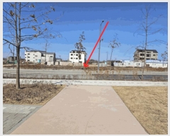  2025Ÿ��486 ��� ���ý� ������ 2437-2       ����(����)���