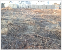  2025Ÿ��486 ��� ���ý� ������ 2437-2       ����(����)���