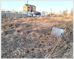  2025Ÿ��486 ��� ���ý� ������ 2437-2       ����(����)���