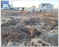  2025Ÿ��486 ��� ���ý� ������ 2437-2       ����(����)���