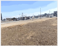  2025Ÿ��519  �����