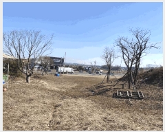  2025Ÿ��519  �����