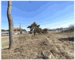  2025Ÿ��519  �����