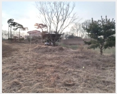  2025Ÿ��519  �����