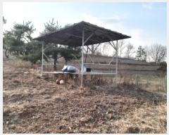  2025Ÿ��519  �����