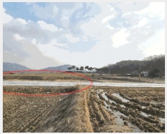  2025Ÿ��527  �����