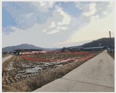  2025Ÿ��527  �����