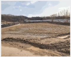  2025Ÿ��527  �����