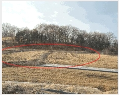  2025Ÿ��527  �����