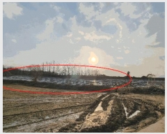  2025Ÿ��527  �����