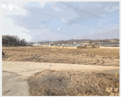  2025Ÿ��527  �����